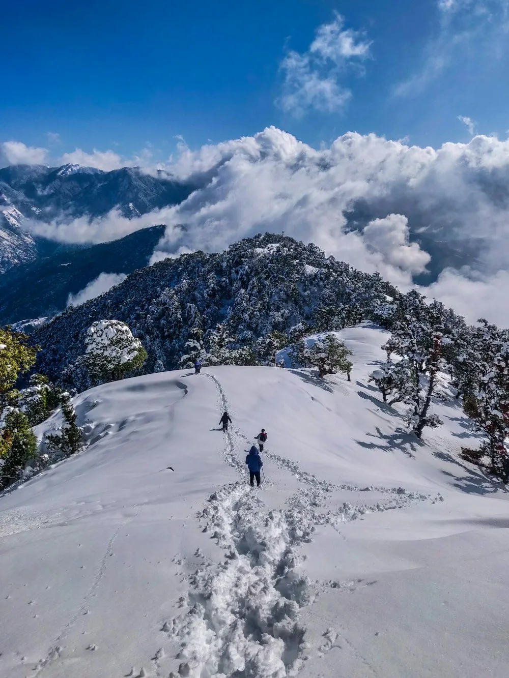 Sikkim heaven on earth